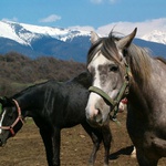 pracovná prestávka...