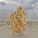 Koral na Perhentiane