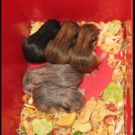 Je nám právě sedm dní...