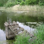 zapomenutý rybníček