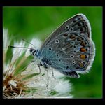 <b> - Po dešti - </b>