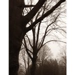 springsummerfallwinterspring