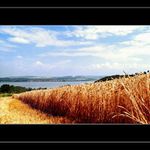 krajina u Nových mlýnů