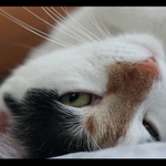 <b>Nefoť a drbéééj</b>