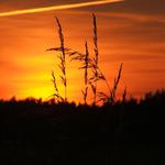 zapada slunce, zapada