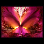 <u>***KOSATEC***</U><B>