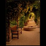 ***HARMONIE KLIDU***