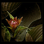 <u>***DEN_V_SLZÁCH***</U><B>