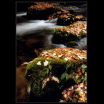 Říční flotila admirála Korkorána