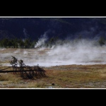 Yellowstone 2004