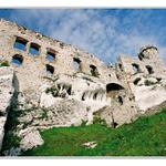 Ogrodzienec (Polsko)