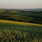 Poslední jarní večer