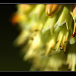 ... a život se zastavil