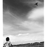 Ztratí se dravec v černi hvězd?