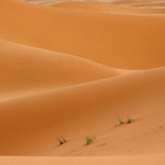Erg Chebbi VI.