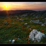 Jarní podvečer na HVARu