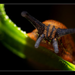 Jen si tak lezu a najednou...