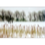 ... na zamrzlém rybníku ...