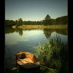 Třeboňské rybníky - obraz III.