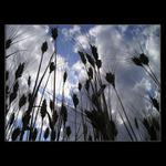 Ležím si tu, a je mi fajn.