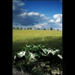 Taková obyčejná II