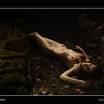 ...šípková růženka...