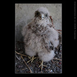 <b>N Ě J A K E J   &nbsp;&nbsp;P R O B L É M   &nbsp;&nbsp;? ? ?</b>