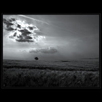 <b>POSLEDNÍ<hr></b>(...mlčící krajiny...)<br><b>