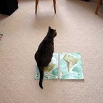 Trudy for president U.S.A.