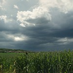 <b>...::Pálavské mraky těhotné deštěm::...</b>