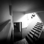 ...z pavoučí perspektivy...