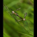 ... a bude nás víc ...