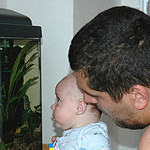 Tatinku,co to tam jezdi za vecicky?