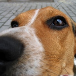 FUJ to není lumpík, to je foťák:-)