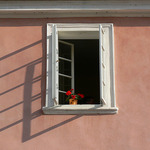 V pozdním odpoledni