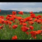 Už to fičí před bouřkou