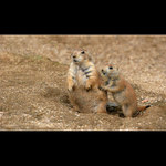 Táto, neboj, dej mu do nosu, stojím pevně za tebou!