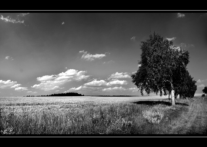 <b>summer 05/II