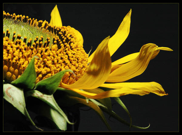 S větrem ve vlasech