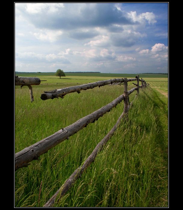 na pastvinách