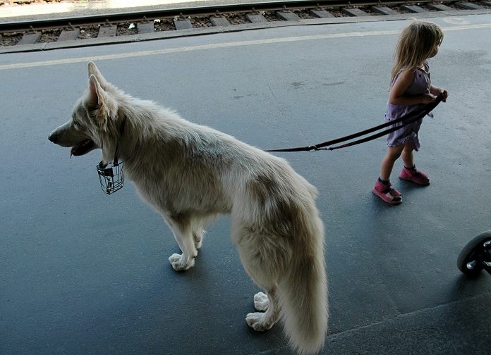 Karkulka z nádraží