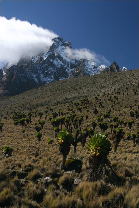 Mount Kenya