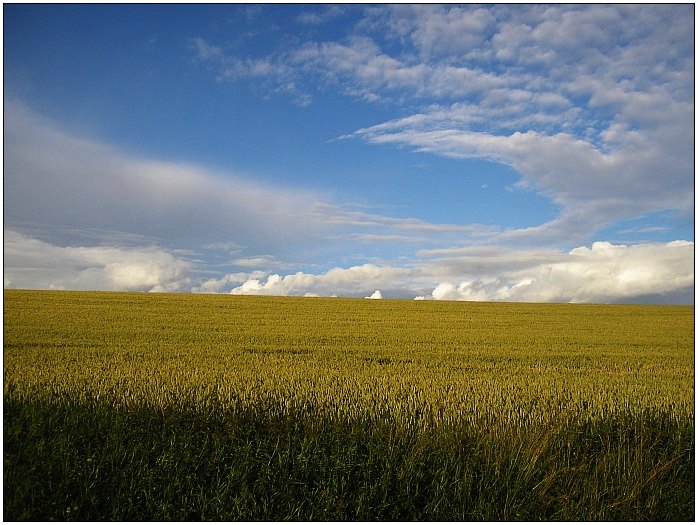 Okolí Hodkovic n.M.