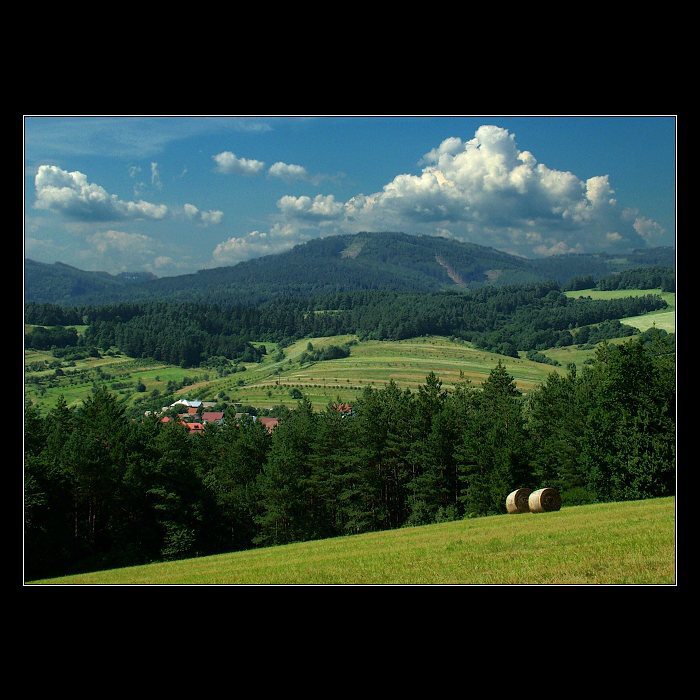Drnovice