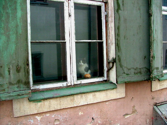 Potulky Estonskom