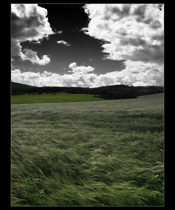 Life´s green