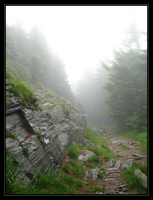 Cesta do neznáma