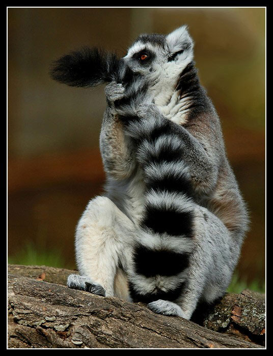 "...a už tě nepustim!"