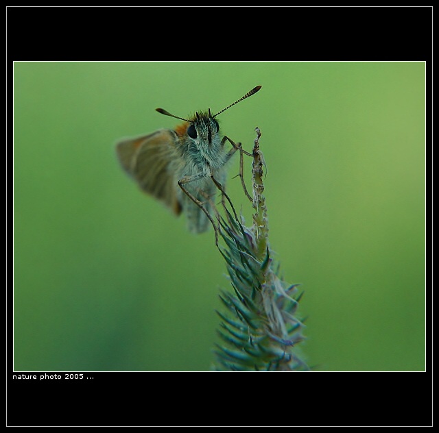 <b>Jejda zas jeden z photopostu...</b>