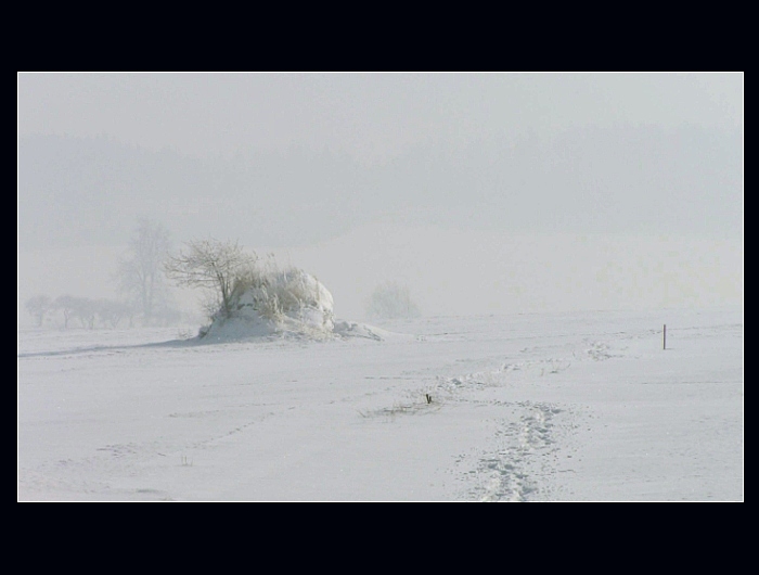 něco na zahřátí...